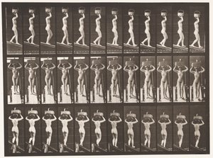 Levy 124. Laskeva kaltevuus, 20 lb:n kori pään päällä, kädet kohotettuina, 1872-1885 tekijältä Eadweard Muybridge
