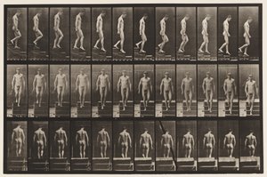 Levy 125. Laskevat portaat tekijältä Eadweard Muybridge