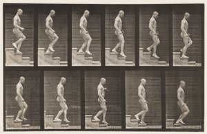 Levy 126. Laskevat portaat tekijältä Eadweard Muybridge
