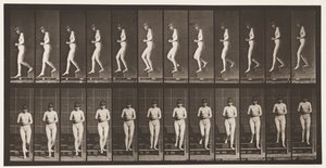 Kilpi 128. Laskevat portaat, kädet ristissä, 1872-1885 tekijältä Eadweard Muybridge