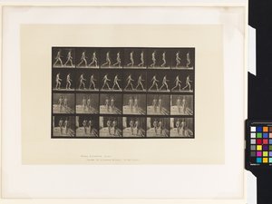 Lauta 12. Kävely tekijältä Eadweard Muybridge