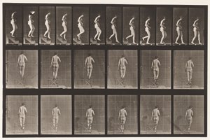 Levy 130. Laskevat portaat, kädet ristissä, 1872-1885 tekijältä Eadweard Muybridge