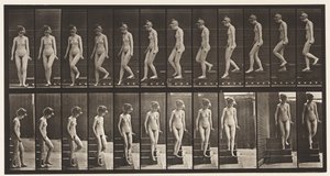 Levy 137. Laskeutuvat portaat, kääntyminen tekijältä Eadweard Muybridge