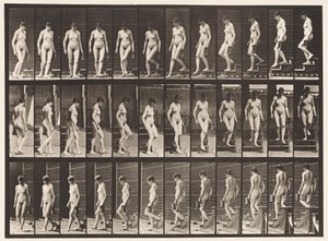 Levy 138. Laskevat portaat kääntyvät; Kannu vasemmassa kädessä tekijältä Eadweard Muybridge