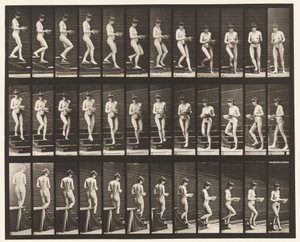 Levy 144. Laskevat portaat; Kääntöallas käsissä tekijältä Eadweard Muybridge