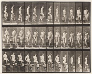 Levy 145. Laskevat portaat; Veden kääntäminen oikealla kädellä, 1872-1885 tekijältä Eadweard Muybridge