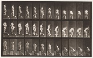 Levy 149. Laskevat portaat; Kumartuminen nostaakseen kannua, 1872-1885 tekijältä Eadweard Muybridge