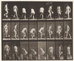 Levy 150. Laskevat portaat; Kumartuva, nostava kannu, kääntyvä, 1872-1885 tekijältä Eadweard Muybridge