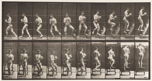 Levy 151. Laskevat tikkaat, kääntyminen, kivi käsissä, 1872-1885 tekijältä Eadweard Muybridge