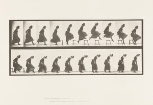 Levy 156. Hyppy; Suoran korkeushypyn juoksu, 1885 tekijältä Eadweard Muybridge