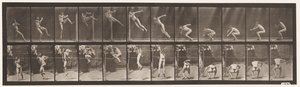 Levy 157. Hyppy; Juoksu Twist korkeushyppy tekijältä Eadweard Muybridge
