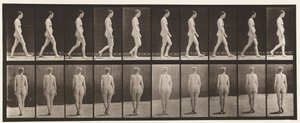 Lauta 15. Kävely tekijältä Eadweard Muybridge