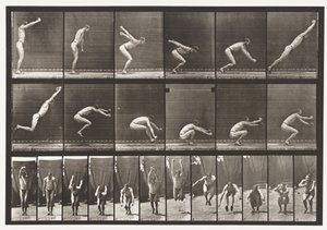 Levy 163. Hyppy; Pysyvä leveä hyppy, 1872-1885 tekijältä Eadweard Muybridge