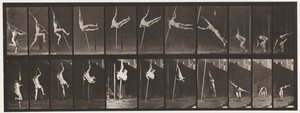 Levy 164. Hyppy; Seivähyppy, 1872-1885 tekijältä Eadweard Muybridge