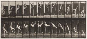 Levy 165. Hyppy; Seiväshyppy tekijältä Eadweard Muybridge