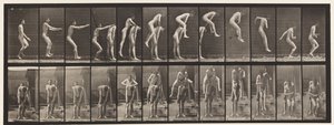 Levy 166. Hyppy; Miehen Selän yli tekijältä Eadweard Muybridge