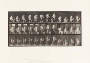 Levy 172. Pukkiin astuminen; Jumping Down, Turning, 1885 tekijältä Eadweard Muybridge