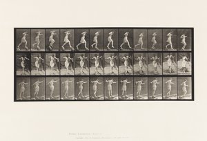 Kilpi 175. Crossing Brook on Step-Stones kalastussauvan ja kanin kanssa tekijältä Eadweard Muybridge