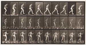 Kilpi 176. Crossing Brook on stepstones kalastussauva ja kori tekijältä Eadweard Muybridge