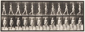 Levy 17. Kävely, 1872-1885 tekijältä Eadweard Muybridge