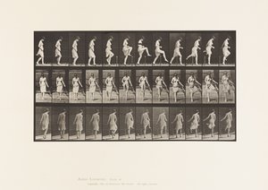 Kilpi 181. Aidan yli astuminen tekijältä Eadweard Muybridge