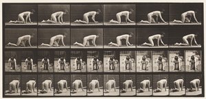 Levy 182. Ryömiä käsissä ja polvissa tekijältä Eadweard Muybridge