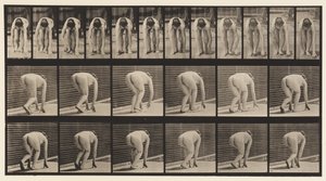 Levy 184. Kävely käsissä ja jaloissa tekijältä Eadweard Muybridge