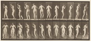Levy 195. Tanssiva valssi tekijältä Eadweard Muybridge