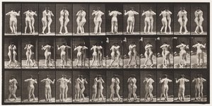 Lauta 196. Tanssiva valssi, kaksi mallia tekijältä Eadweard Muybridge
