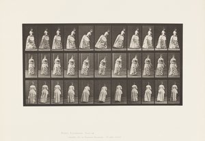 Levy 198. Ottelu, 1885 tekijältä Eadweard Muybridge