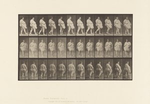 Levy 19. Kävely, alkaa kääntyä tekijältä Eadweard Muybridge