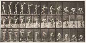 Lauta 201. 12-lb:n korin ottaminen päästä, laittaminen maahan, 1872-1885 tekijältä Eadweard Muybridge