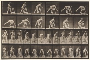 Lauta 203. Taivuttaminen pukin yli vesipurkilla tekijältä Eadweard Muybridge