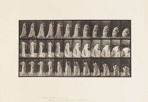 Lauta 205. Kanto ja kumartuminen maljakon kanssa, 1885 tekijältä Eadweard Muybridge
