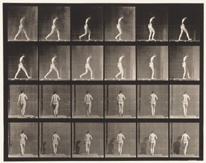 Levy 20. Kävely, oikea kyynärpää koukussa tekijältä Eadweard Muybridge