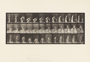 Lauta 215. Lapsen asettaminen tekijältä Eadweard Muybridge