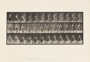 Lauta 217. Kumartuminen, nostaminen ja kantaminen 30 lb:n kori, 1885 tekijältä Eadweard Muybridge