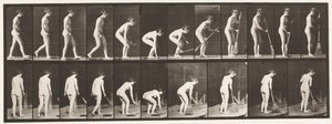 Lauta 219. Kumartaminen ja nostoharja ja lakaisu tekijältä Eadweard Muybridge