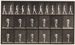 Levy 21. Kävely, molemmat kyynärpäät koukussa tekijältä Eadweard Muybridge