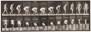 Levy 220. Taivuttaminen ja nosto Liina ja kääntyminen tekijältä Eadweard Muybridge