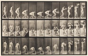 Levy 221. Kumartaminen ja 12 lb:n korin nostaminen päähän tekijältä Eadweard Muybridge