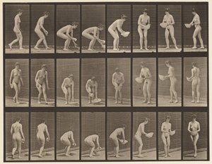 Levy 223. Kuorma- ja nostoallas, pyyhkiminen ja kääntäminen, 1872-1885 tekijältä Eadweard Muybridge
