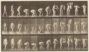 Levy 227. Nostokangas maasta,, 1872-1885 tekijältä Eadweard Muybridge