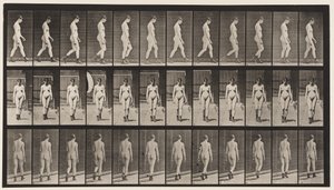 Levy 22. Kävely, korkokengät jalassa, 1872-1885 tekijältä Eadweard Muybridge