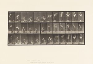 Levy 230. 30 lb:n korin nostaminen maasta päähän, kääntäminen, 1885 tekijältä Eadweard Muybridge