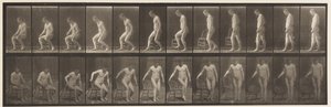 Levy 236. Diairin asettaminen ja istuminen, 1885 tekijältä Eadweard Muybridge