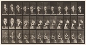 Lautas 238. Istuminen tuolilla, jalat ristissä, teekupista juominen tekijältä Eadweard Muybridge