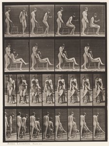 Kilpi 239. Kaksi mallia; toinen seisoo, toinen istuu, jalat ristissä tekijältä Eadweard Muybridge