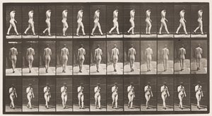 Levy 23. Kävely, oikea käsi leuassa, korkokengät jalassa tekijältä Eadweard Muybridge