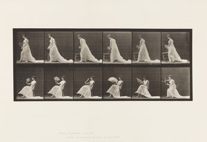 Lauta 242. Tuolin asettaminen, tuulettimen istuminen ja flirttailu, 1885 tekijältä Eadweard Muybridge
